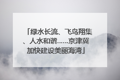 绿水长流、飞鸟翔集、人水和谐……京津冀加快建设美丽海湾