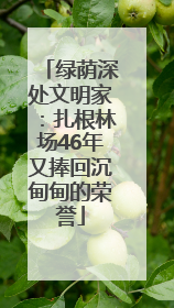 绿荫深处文明家：扎根林场46年又捧回沉甸甸的荣誉