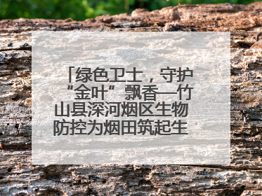 绿色卫士，守护“金叶”飘香—竹山县深河烟区生物防控为烟田筑起生态屏障