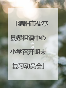 绵阳市盐亭县嫘祖镇中心小学召开期末复习动员会