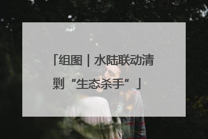 组图｜水陆联动清剿“生态杀手”
