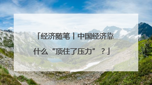 经济随笔丨中国经济靠什么“顶住了压力”？