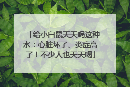 给小白鼠天天喝这种水：心脏坏了、炎症高了！不少人也天天喝