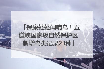 保康处处闻啼鸟！五道峡国家级自然保护区新增鸟类记录23种