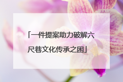 一件提案助力破解六尺巷文化传承之困