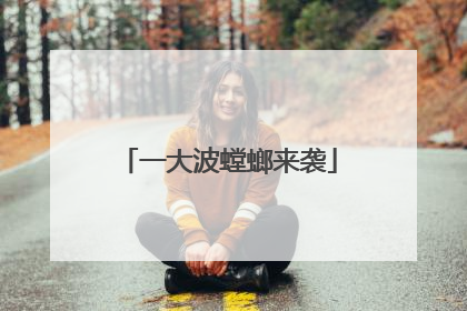 一大波螳螂来袭