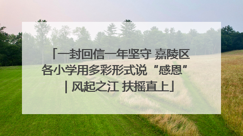 一封回信一年坚守 嘉陵区各小学用多彩形式说“感恩”｜风起之江 扶摇直上