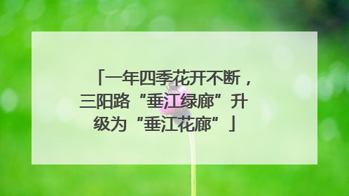 一年四季花开不断，三阳路“垂江绿廊”升级为“垂江花廊”