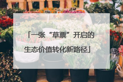 一张“草票”开启的生态价值转化新路径