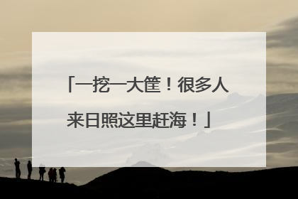 一挖一大筐！很多人来日照这里赶海！