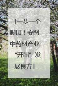一步一个脚印！安图中药材产业“开出”发展良方