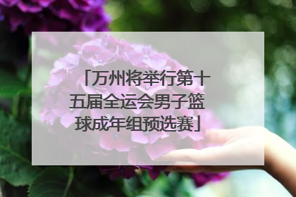万州将举行第十五届全运会男子篮球成年组预选赛