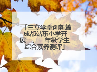 三立学堂创新篇 成都站东小学开展一、二年级学生综合素养测评