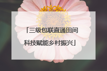 三级包联直通田间 科技赋能乡村振兴