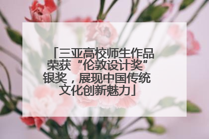 三亚高校师生作品荣获“伦敦设计奖”银奖，展现中国传统文化创新魅力