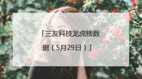 三友科技龙虎榜数据（5月29日）