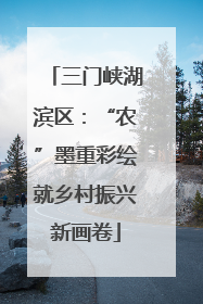三门峡湖滨区：“农”墨重彩绘就乡村振兴新画卷