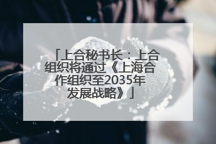 上合秘书长：上合组织将通过《上海合作组织至2035年发展战略》