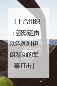 上合组织：强烈谴责以色列对伊朗发动的军事打击