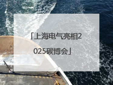 上海电气亮相2025碳博会