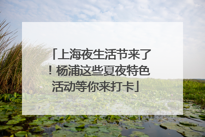 上海夜生活节来了！杨浦这些夏夜特色活动等你来打卡
