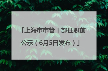 上海市市管干部任职前公示（6月5日发布）