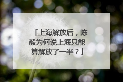 上海解放后，陈毅为何说上海只能算解放了一半？
