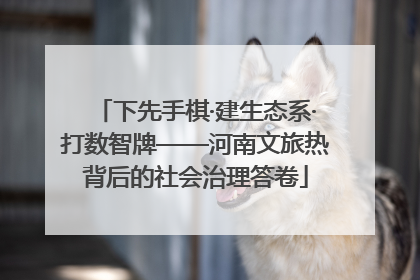 下先手棋·建生态系·打数智牌——河南文旅热背后的社会治理答卷