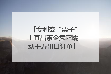 专利变“票子”！宜昌茶企凭它撬动千万出口订单