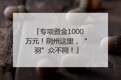 专项资金1000万元！荆州这里，“羽”众不同！