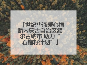世纪华通爱心捐赠内蒙古自治区额尔古纳市 助力“石榴籽计划”