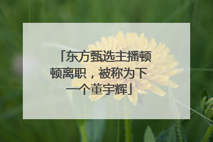 东方甄选主播顿顿离职，被称为下一个董宇辉