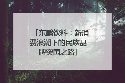 东鹏饮料：新消费浪潮下的民族品牌突围之路