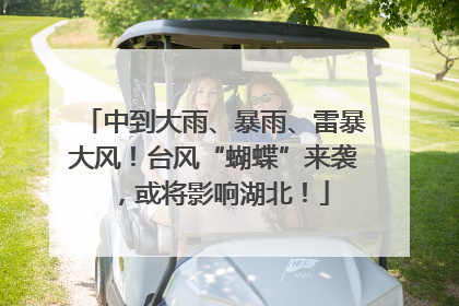 中到大雨、暴雨、雷暴大风！台风“蝴蝶”来袭，或将影响湖北！