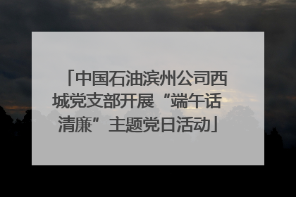 中国石油滨州公司西城党支部开展“端午话清廉”主题党日活动