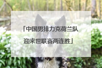 中国男排力克荷兰队 迎来世联赛两连胜