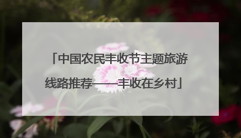 中国农民丰收节主题旅游线路推荐——丰收在乡村