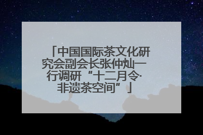 中国国际茶文化研究会副会长张仲灿一行调研“十二月令·非遗茶空间”