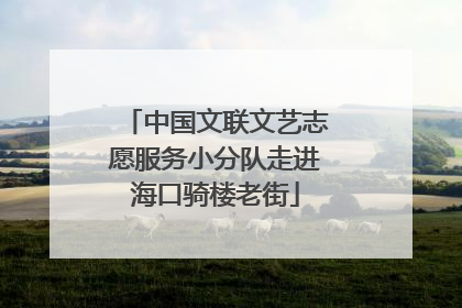 中国文联文艺志愿服务小分队走进海口骑楼老街