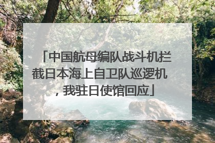 中国航母编队战斗机拦截日本海上自卫队巡逻机，我驻日使馆回应