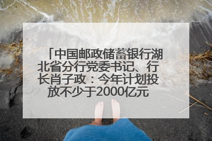 中国邮政储蓄银行湖北省分行党委书记、行长肖子政：今年计划投放不少于2000亿元支持支点建设