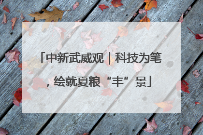 中新武威观｜科技为笔，绘就夏粮“丰”景