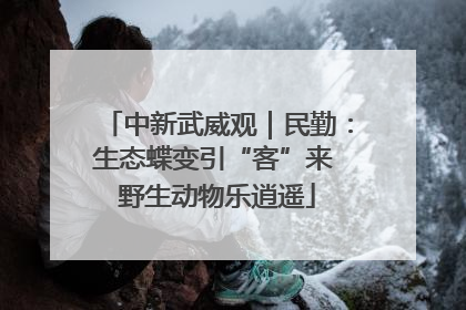 中新武威观｜民勤：生态蝶变引“客”来 野生动物乐逍遥