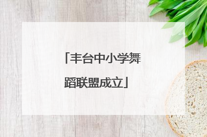丰台中小学舞蹈联盟成立
