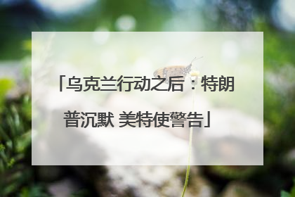 乌克兰行动之后：特朗普沉默 美特使警告