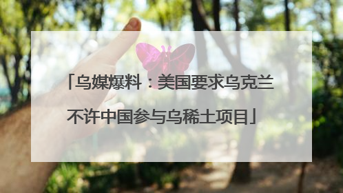 乌媒爆料：美国要求乌克兰不许中国参与乌稀土项目