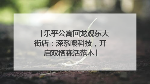 乐乎公寓回龙观东大街店：深系暖科技，开启双栖森活范本