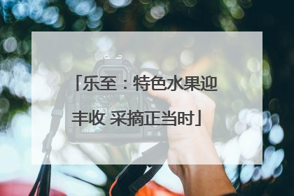 乐至：特色水果迎丰收 采摘正当时