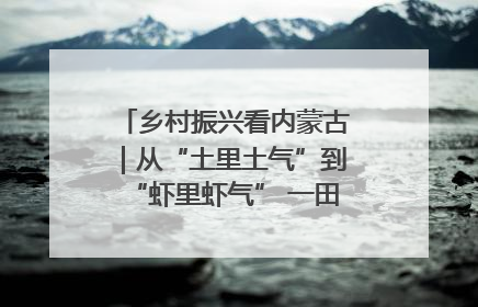 乡村振兴看内蒙古｜从“土里土气”到“虾里虾气” 一田双收模式火出圈
