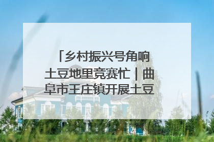 乡村振兴号角响 土豆地里竞赛忙｜曲阜市王庄镇开展土豆收获劳动竞赛